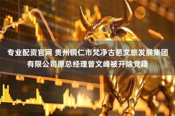 专业配资官网 贵州铜仁市梵净古邑文旅发展集团有限公司原总经理曾文峰被开除党籍