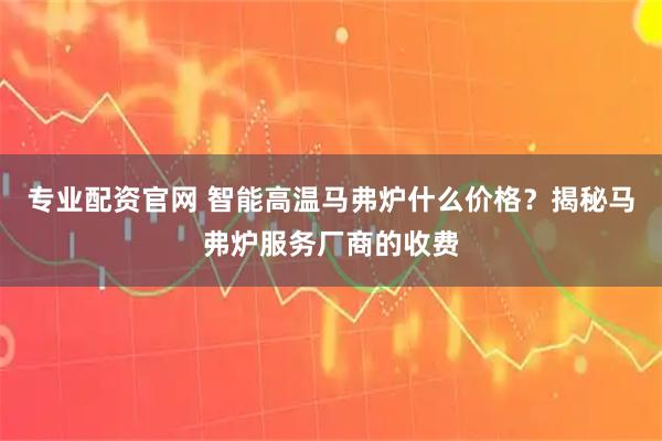 专业配资官网 智能高温马弗炉什么价格？揭秘马弗炉服务厂商的收费