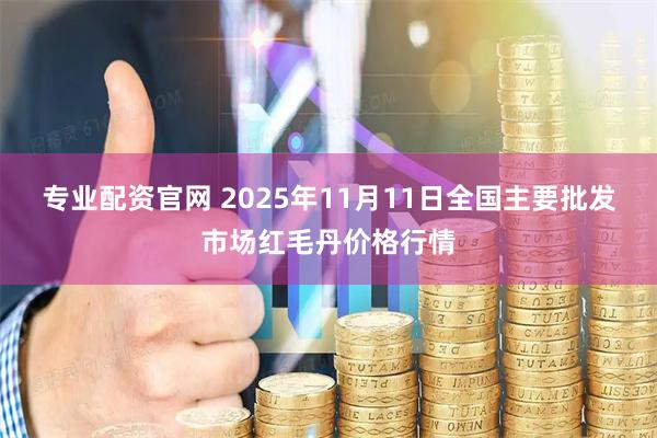专业配资官网 2025年11月11日全国主要批发市场红毛丹价格行情